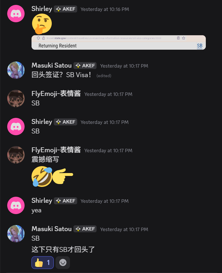 回头VISA?SB VISA!